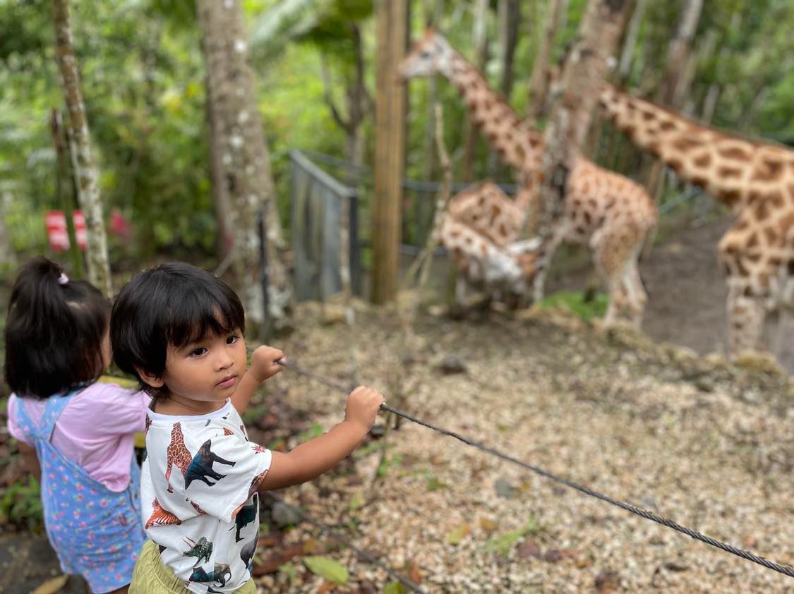 Cebu Safari Adventure: Exploring the Animal World with a Toddler